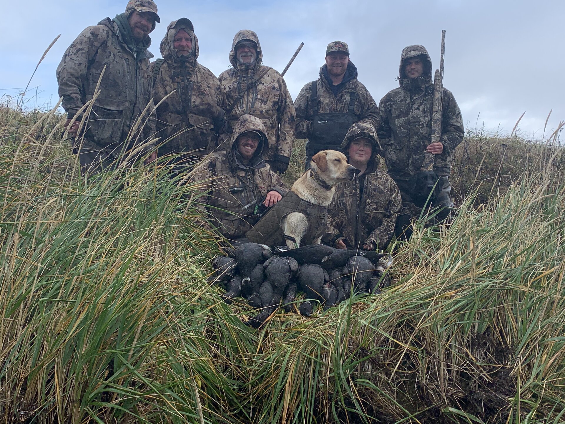 Cackler Goose Hunt